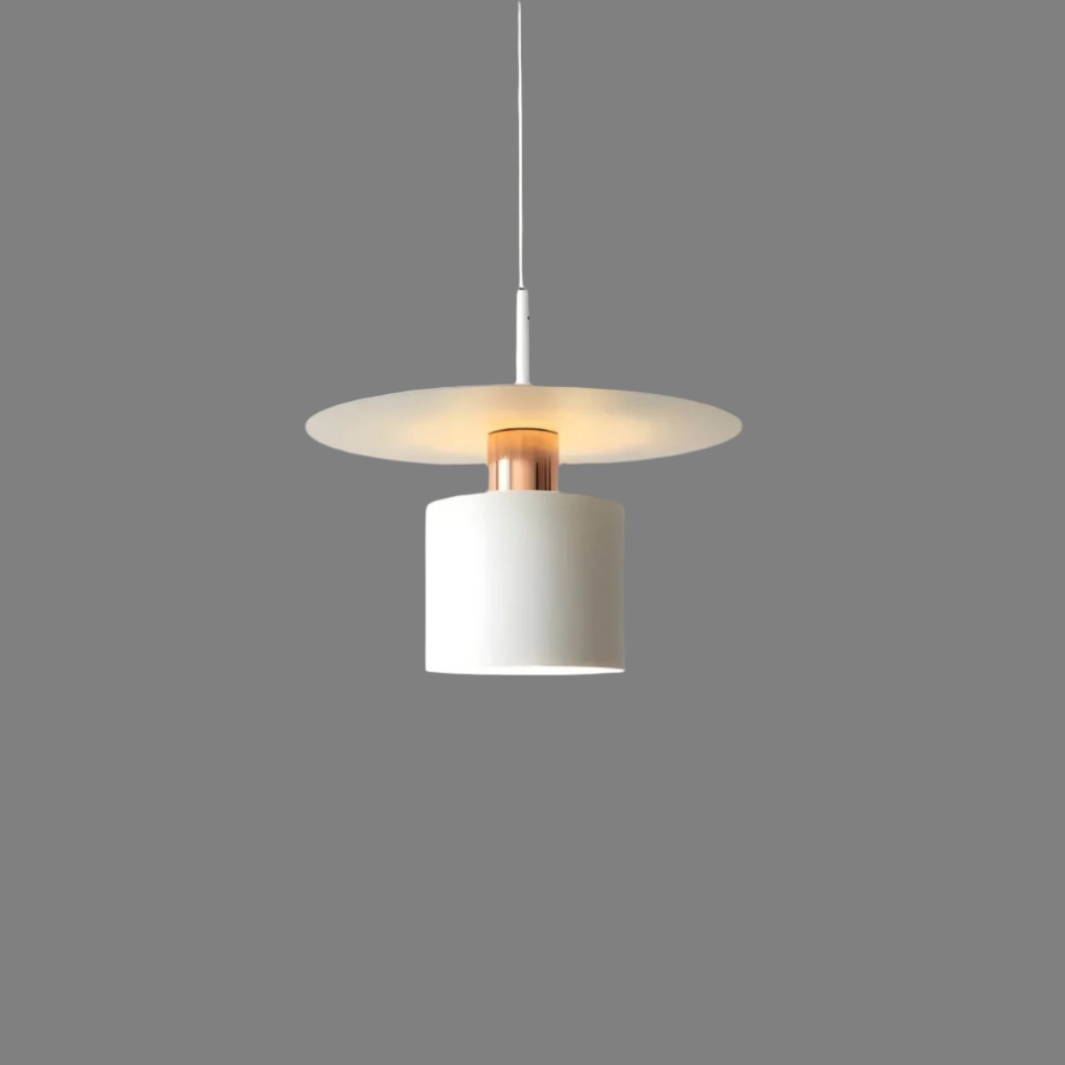 Floating Disc Pendant Light