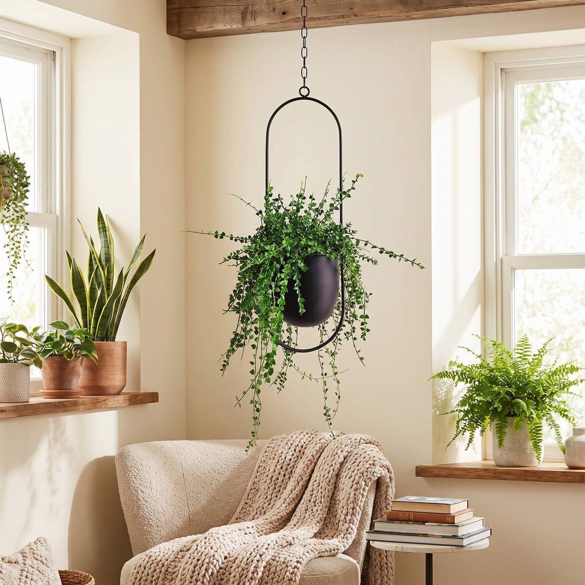 FloraFrame Hanging Planter in a lifestyle setting