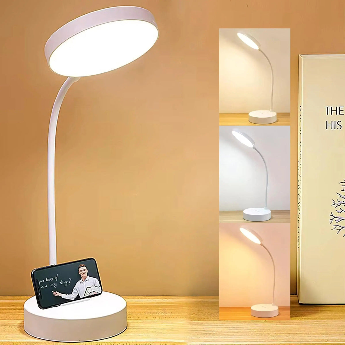 Swan-Neck LED Desk Lamp with USB Charging